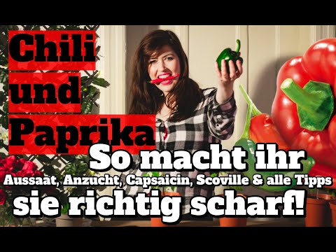 Video: Ist Capsaicin eine Paprika?