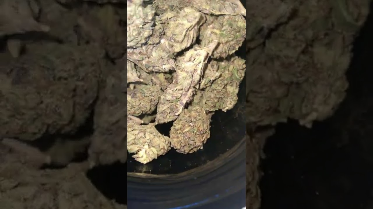 CBD Hemp Direct double dosed Gelato 🔥 🔥 🔥