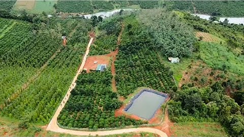 Bán lô đất dt:3 ha cà phê và hồ tiêu nguồn thu nhập cao đường xá thuận tiện giá rẻ bèo 