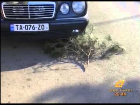 ელექტრო ენერგიის გარეშე დარცენილი მოსახლეობა 12 11 2015