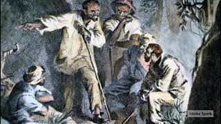 The Meritorious Manumission Act of 1710 Freed/Rewarded Slaves for snitching on a slave rebellion.
