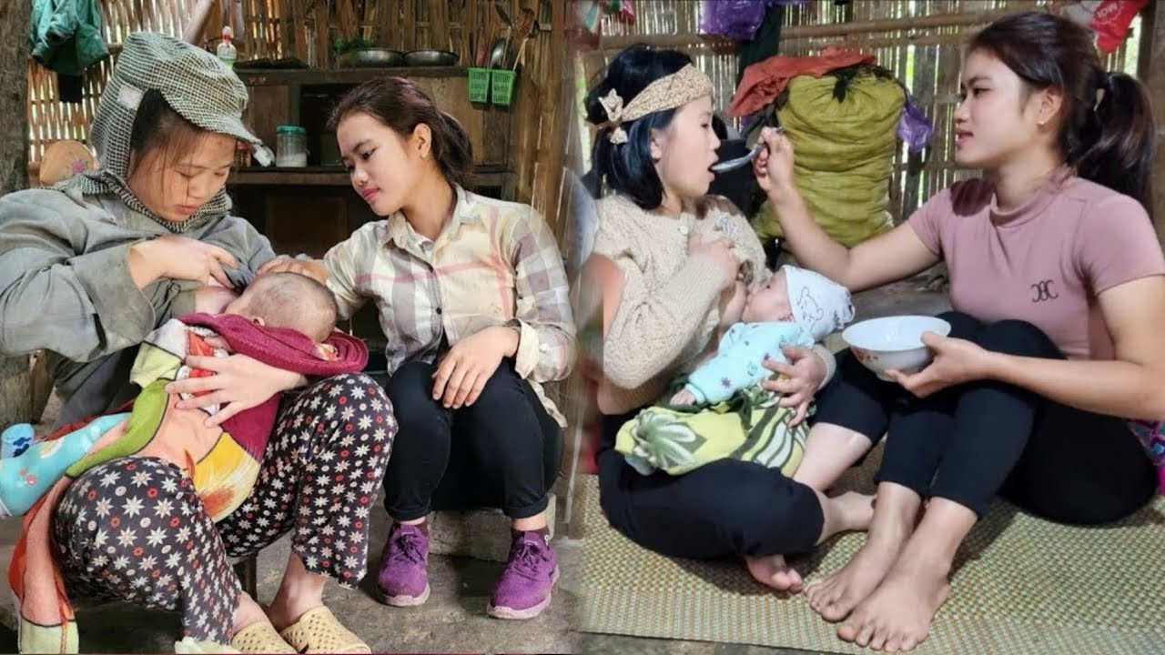 Harvesting Fruit to Sell at the Market - Helping a Single Mother in ...