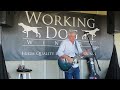 First Cut Is the Deepest (Cat Stevens) - Rich Boland @ Working Dog Winery (Hightstown, NJ) 11/2/25
