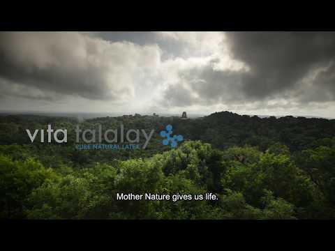 vita-talalay-latex---who-are-we?