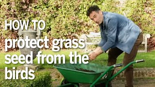 How to plant your grass seed without the birds eating it screenshot 3