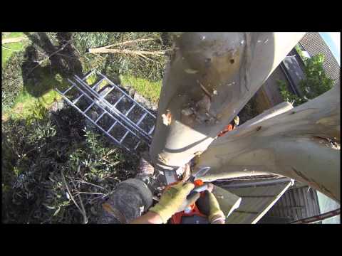 Акумулаторна резачка за дърва HUSQVARNA T535i XP, 36V, 35 см #pFEXph7Ea40