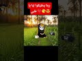 ربنا يخليكوا ليا يا قلبي ماشاوالدب حموكشة الاصلي ك اكسبلور Explo كوميدي كرتوناطفال قصص 