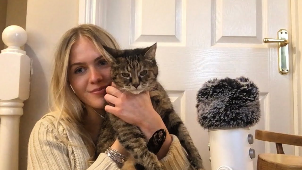 ✨ASMR✨ fabric scratching ft cats 