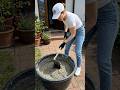 From Wet Cement to Stunning Garden Planter 🌿 | Ultimate DIY Transformation