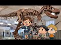 NO WAY NEVER Did Dinosaurs Eat ALL Humans Funny Kids Cartoon At The Museum