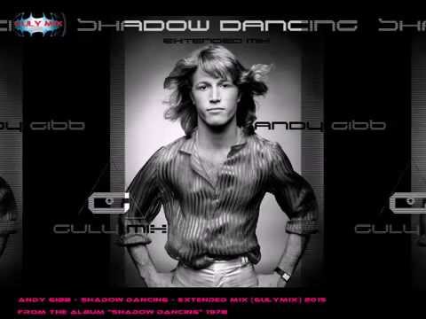 アンディ・ギブ Shadow Dancing リミックス集 CD ビージーズ