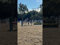 Idk why I’m obsessed with this jump… #fypシ #horse #equestrian #jumping