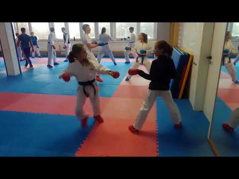 Sonntag 26.01.2020 Karatetraining