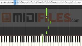 🎼 Sie hat es wieder getan - Thomas Anders & Florian Silbereisen (INSTRUMENTAL) 🎹