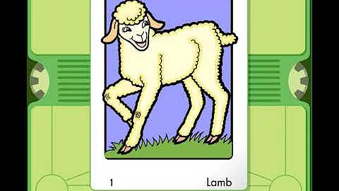 Pam the Lamb