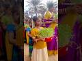 Pongal 2k25 vibes Abu Dhabi 🔥 #abudhabi #pongal