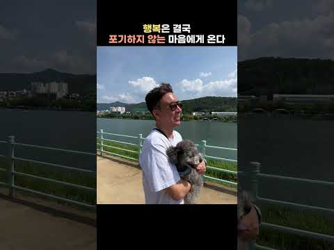행복은 결국, 포기하지 않는 마음에게 와요 📸