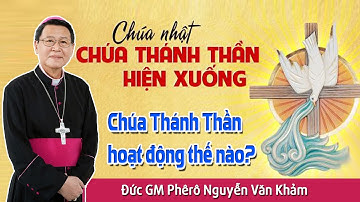 Bài giảng: Lễ Chúa Thánh Thần hiện xuống - Đức GM Phêrô Nguyễn Văn Khảm
