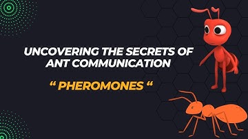 Amazing Facts: Uncovering the Secrets of Ant Communication Through Pheromones