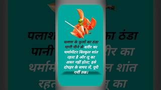 रोज़ खाइए ये 20 चीज़ें, पाचन से || #shorts #healthydiet #healthyfood