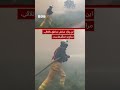 بزرگ‌ترین آتش‌سوزی طبیعی بلژیک همچنان ادامه دارد