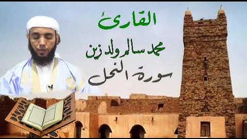 16 سورة النحل للقارئ محمد سالم ولد زين