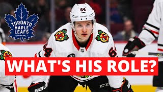 What Role Will David Kampf Play On The Toronto Maple Leafs?