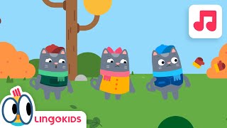 Three Little Kittens 😸🐱😺 Kittens Songs for Kids | Lingokids by Lingokids Lullabies and songs for Kids 134 views 2 months ago 2 minutes, 33 seconds