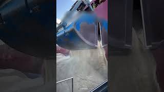 bird eating grain in cargo ship