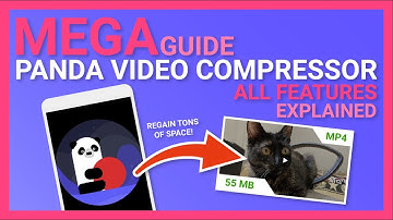 Mega Guide to Panda Video Compressor – all features explained! On Android Smartphone.