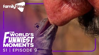 World's Funniest Moments | S1 Episode 9