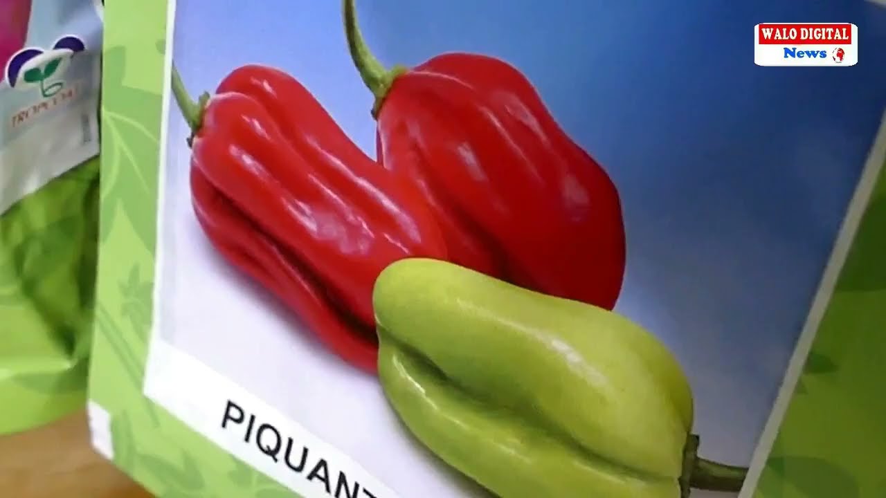 WE: ALBISIA, LA SOLUTION INNOVANTE DE L'AGRICULTURE