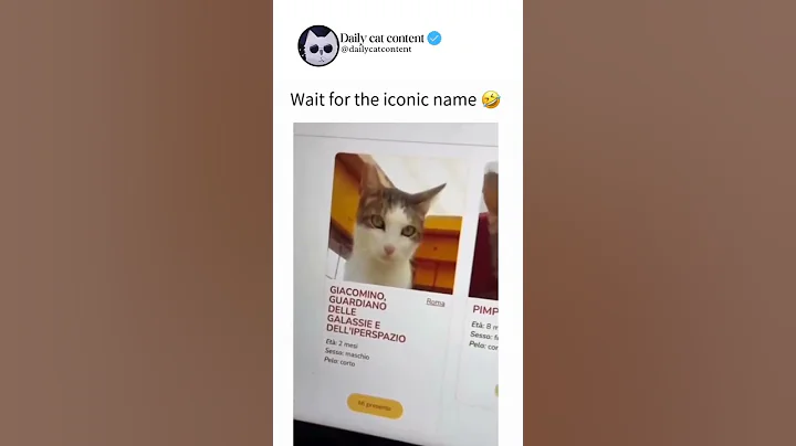 Wait For The Legendary Cat Name