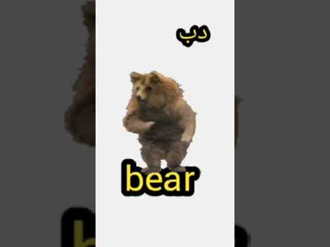 نطق كلمة دب باللغة الإنجليزية نطق كلمة Bear انطقها صح Learnenglish English