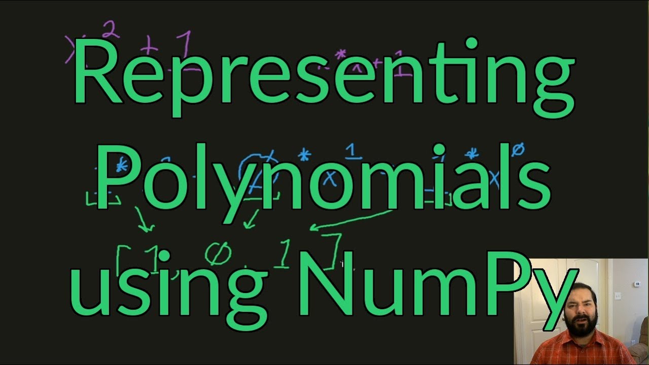 polynomials in python assignment expert