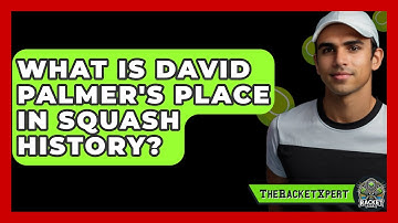 What Is David Palmer