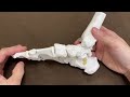 Important connective tissue for ankle movement