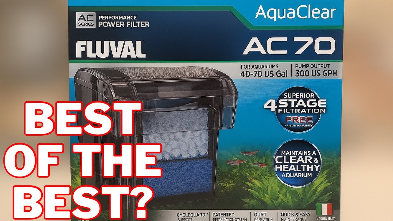 The NEW BEST Aquarium Filter: Fluval AquaClear AC 70 Review - YouTube