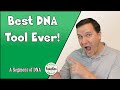 DNA Painter What Are the Odds on- The Best DNA Genealogy Tool Ever!?!