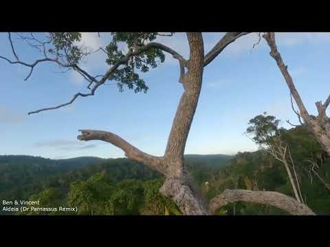 Ben&Vincent - Aledeia (Dr Parnassus Remix)