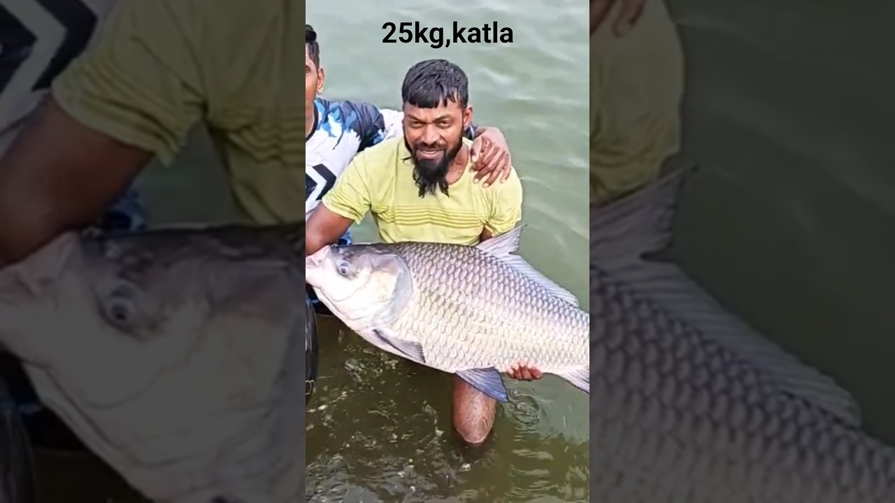 biggest katla 24kg