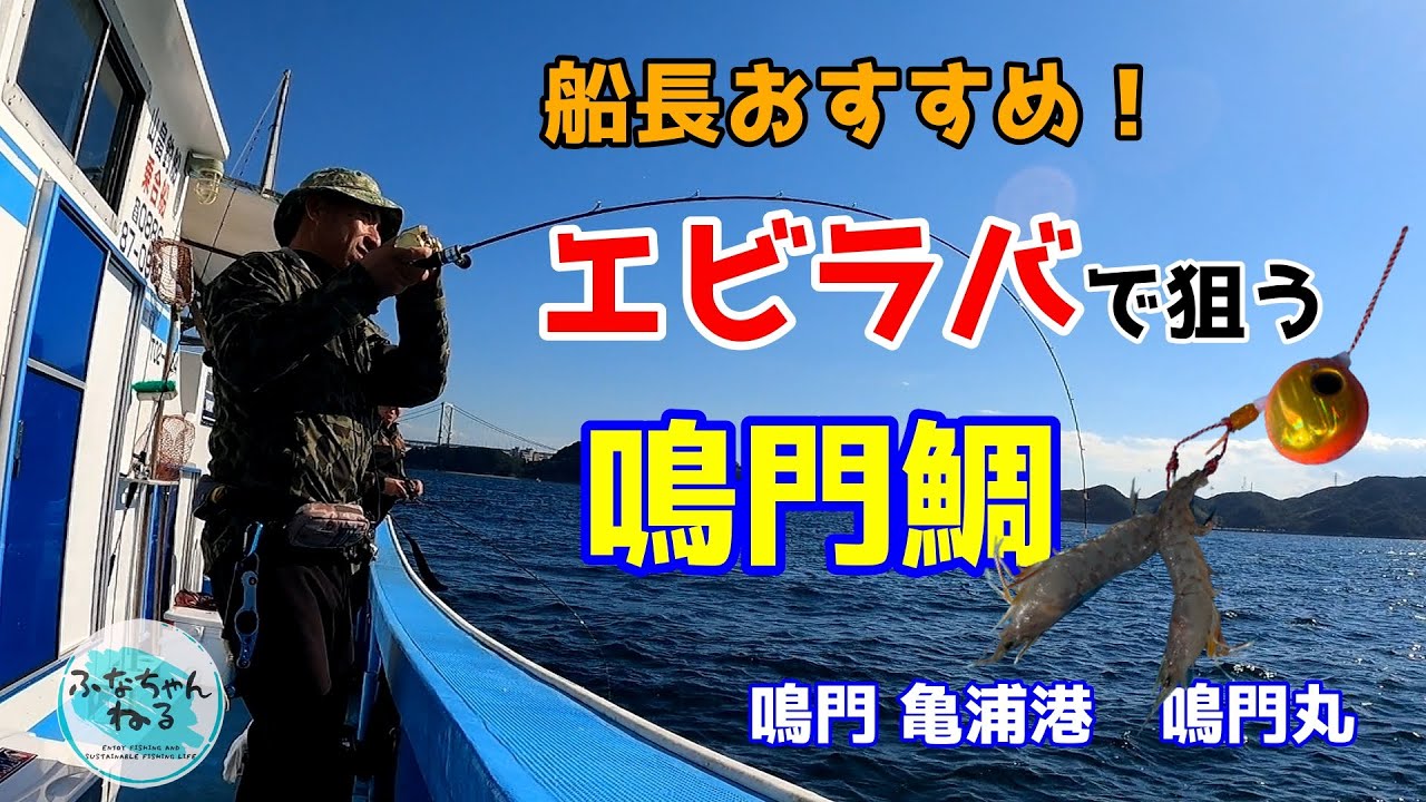 【タイラバ】船長おすすめのエビラバで狙う鳴門鯛