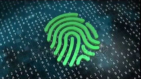 Footage: Fingerprint Digital security concept. Successful Pattern recognition