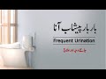 Bar bar peshab ana  frequent urination  tibe ahlebait part 114  maulana syed ali naqi kazmi