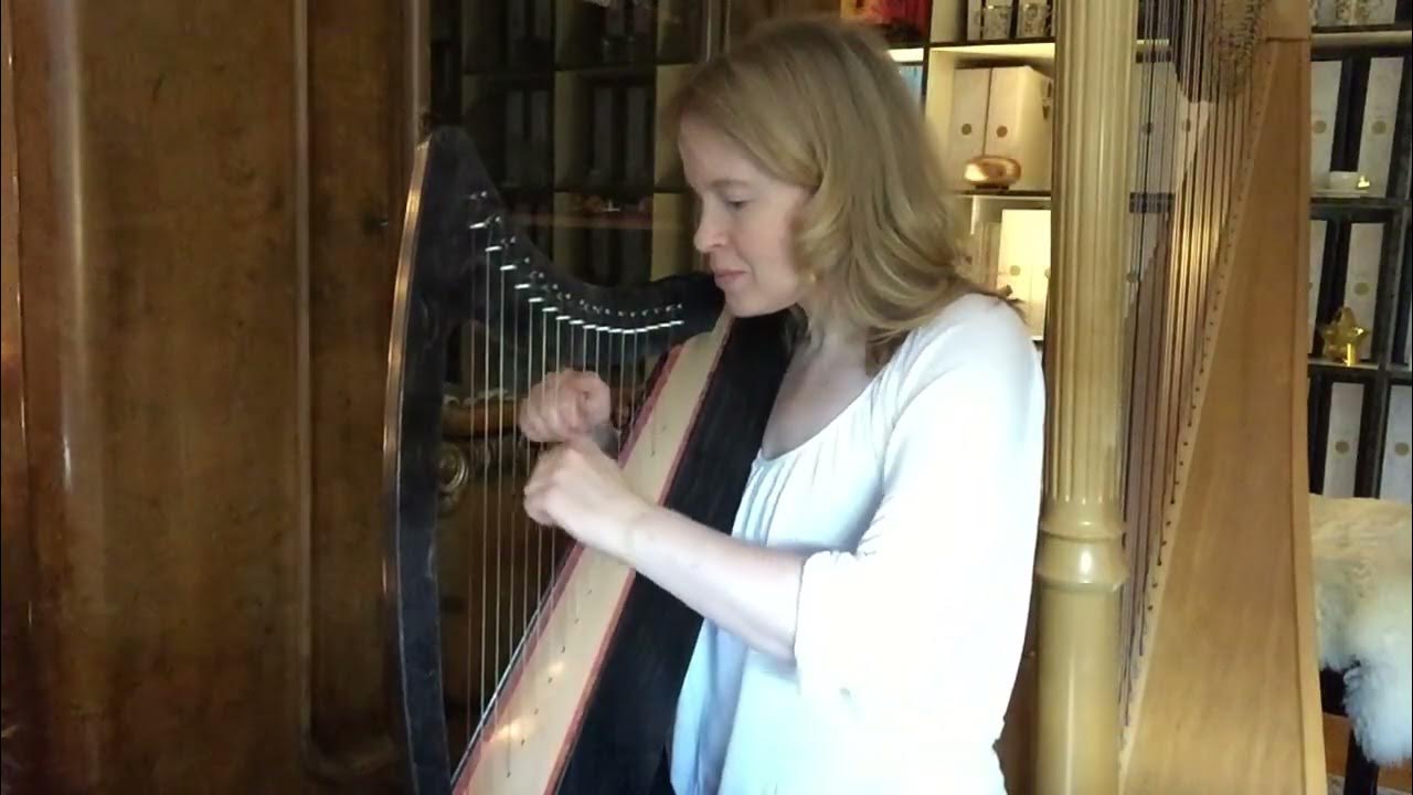 How does this harp sound? Derwent Discovery 16 Harp harpmusic harps 