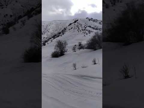 Video: Alpine skiing sa Uzbekistan