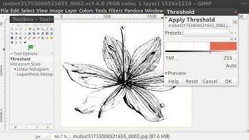 GIMP Converting To Bitmap