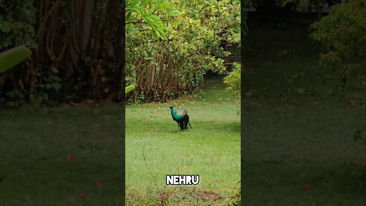 Nehru Group of Institutions| Coimbatore|Nehru College|College life|