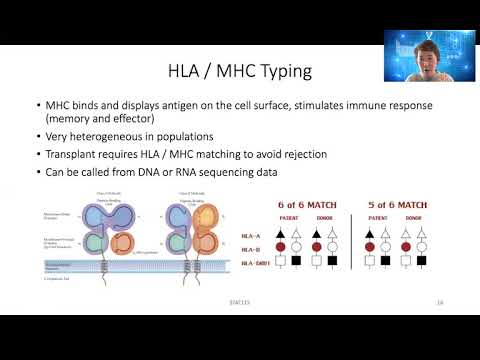 Video: Neoantigener Og Genominstabilitet: Innvirkning På Immunogenomiske Fenotyper Og Immunterapirespons