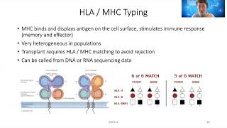 STAT115 Chapter 26.2 HLA and Neoantigen Presentation